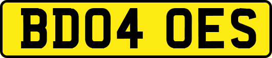 BD04OES