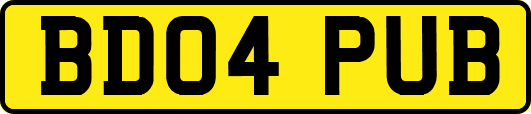 BD04PUB
