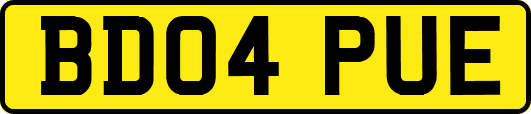 BD04PUE