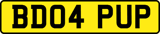 BD04PUP
