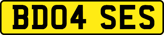 BD04SES
