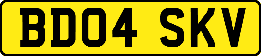BD04SKV