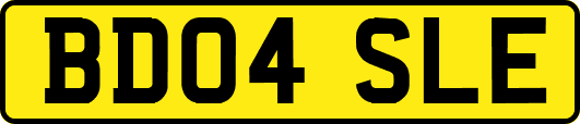 BD04SLE