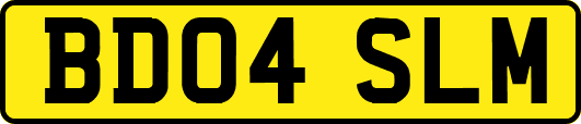 BD04SLM