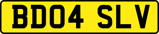 BD04SLV