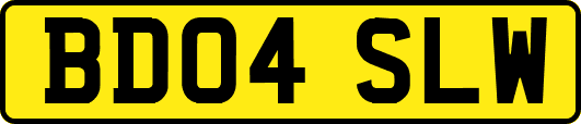 BD04SLW