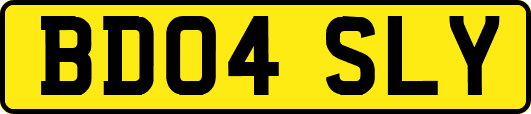 BD04SLY