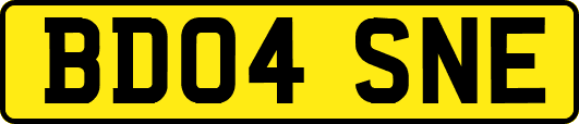 BD04SNE