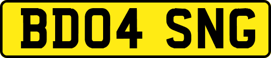 BD04SNG