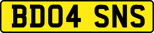 BD04SNS