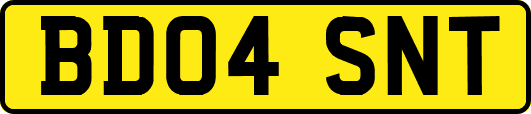 BD04SNT