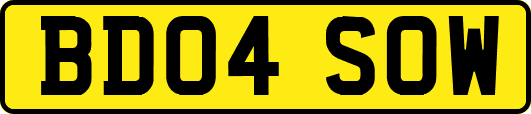 BD04SOW