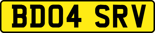 BD04SRV