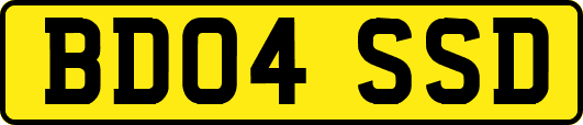 BD04SSD