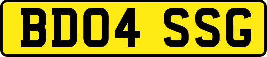 BD04SSG