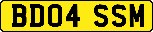 BD04SSM