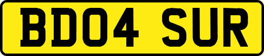 BD04SUR