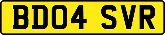 BD04SVR