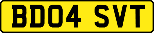 BD04SVT