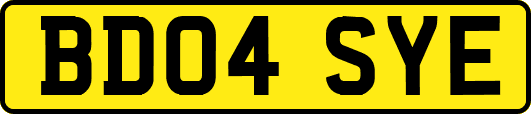 BD04SYE