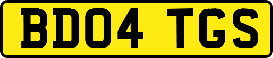 BD04TGS