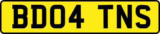 BD04TNS