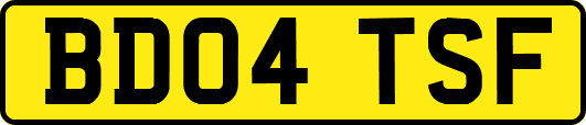 BD04TSF