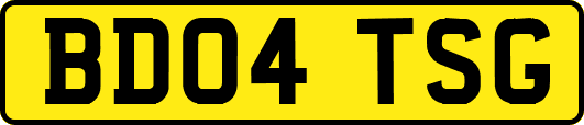 BD04TSG