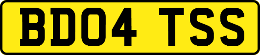 BD04TSS