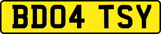 BD04TSY