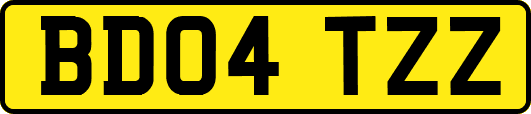 BD04TZZ