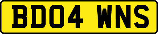 BD04WNS