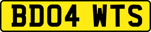 BD04WTS