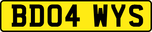 BD04WYS