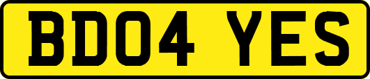 BD04YES