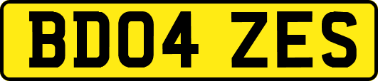 BD04ZES