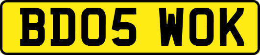 BD05WOK