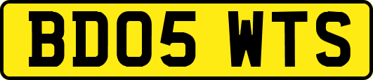 BD05WTS