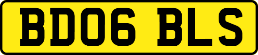 BD06BLS