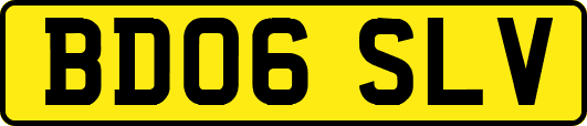 BD06SLV