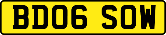 BD06SOW