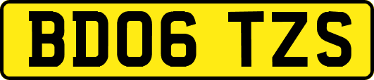 BD06TZS