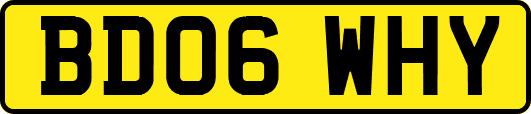BD06WHY