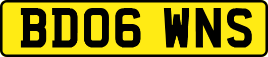 BD06WNS
