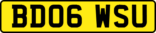 BD06WSU