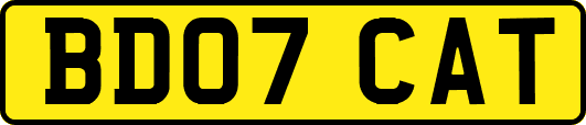 BD07CAT