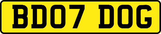 BD07DOG