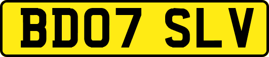 BD07SLV
