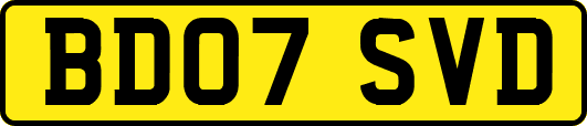 BD07SVD