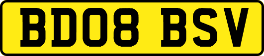BD08BSV